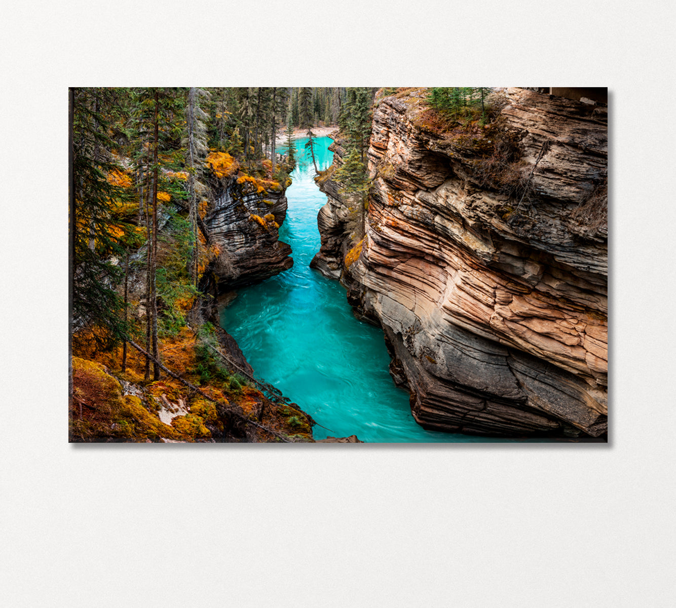 Athabasca Falls Jasper National Park Canada Canvas Print-Canvas Print-CetArt-1 Panel-24x16 inches-CetArt