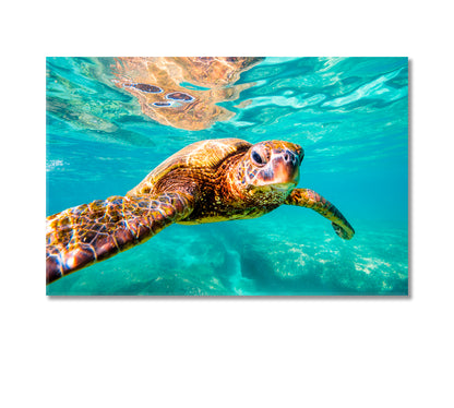 Hawaiian Sea Turtle Underwater Canvas Print-Canvas Print-CetArt-1 Panel-24x16 inches-CetArt