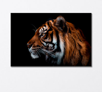 Sumatran Tiger Canvas Print-Canvas Print-CetArt-1 Panel-24x16 inches-CetArt