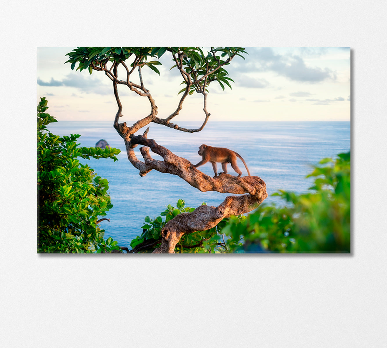 Monkey on Tree Canvas Print-Canvas Print-CetArt-1 Panel-24x16 inches-CetArt