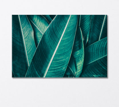 Large Tropical Leaves Canvas Print-Canvas Print-CetArt-1 Panel-24x16 inches-CetArt