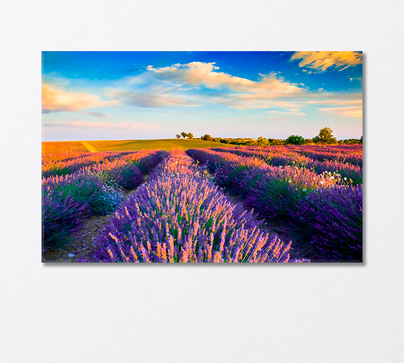 Lavender Field and Provence Hills Canvas Print-Canvas Print-CetArt-1 Panel-24x16 inches-CetArt