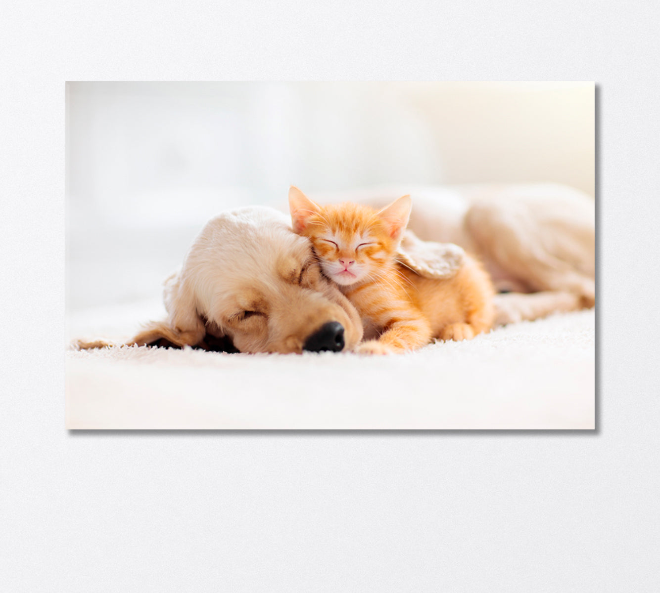 Cat and Puppy Sleeping Together Canvas Print-Canvas Print-CetArt-1 Panel-24x16 inches-CetArt