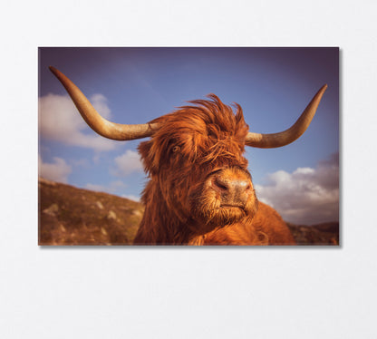 Highland Scottish Cow with Big Horns Canvas Print-Canvas Print-CetArt-1 Panel-24x16 inches-CetArt