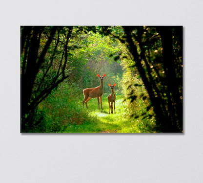 White Tailed Deer with a Fawn in the Forest Canvas Print-Canvas Print-CetArt-1 Panel-24x16 inches-CetArt