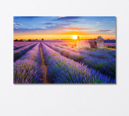 Sunset Over Lavender Field Canvas Print-Canvas Print-CetArt-1 Panel-24x16 inches-CetArt