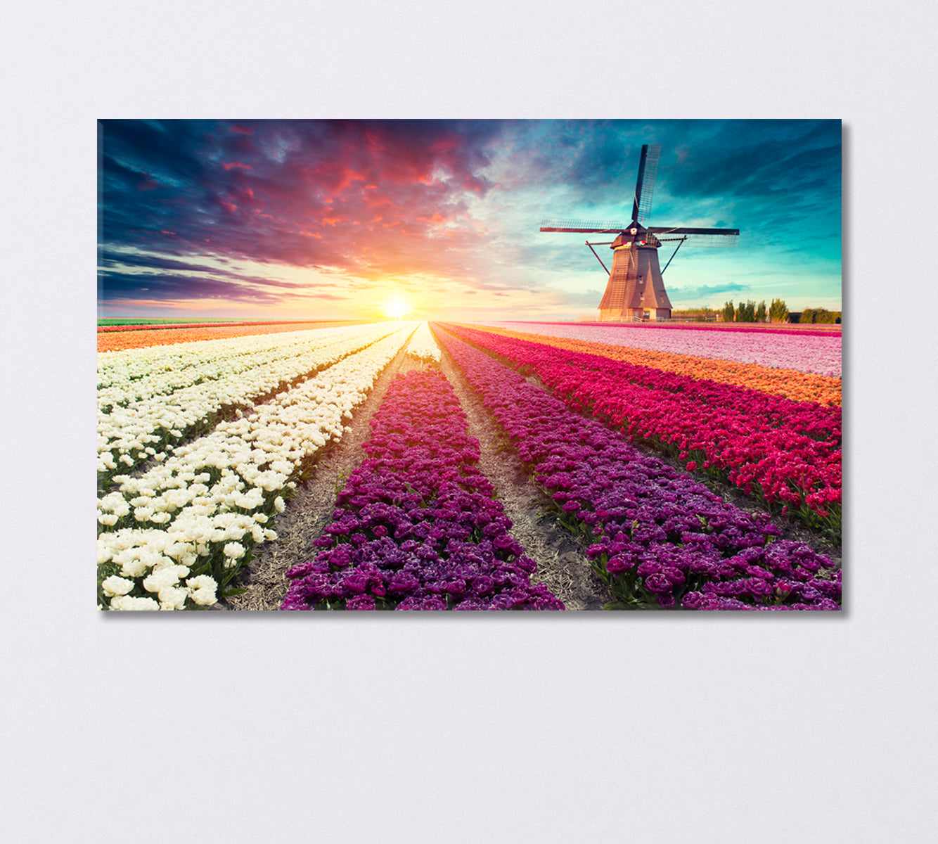 Tulip Field with Windmill Netherlands Canvas Print-Canvas Print-CetArt-1 Panel-24x16 inches-CetArt