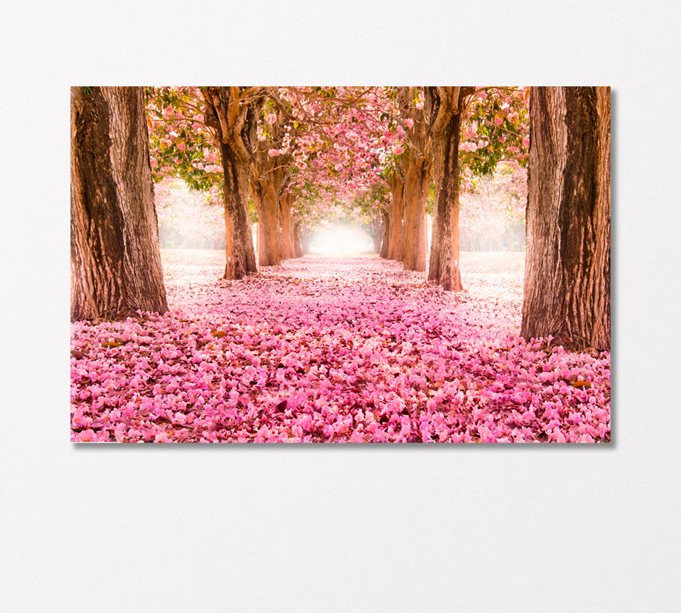 Romantic Tunnel of Pink Flower Trees Canvas Print-Canvas Print-CetArt-1 Panel-24x16 inches-CetArt