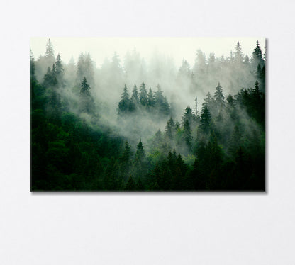 Misty Landscape with Fir Forest Canvas Print-Canvas Print-CetArt-1 Panel-24x16 inches-CetArt