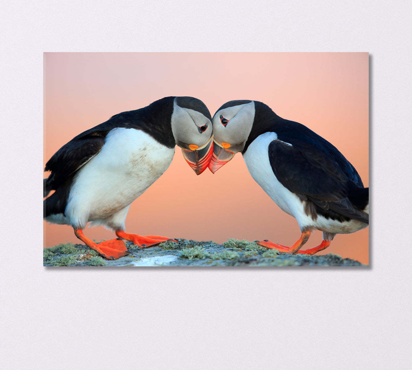 Pair of Atlantic Puffins Canvas Print-Canvas Print-CetArt-1 Panel-24x16 inches-CetArt