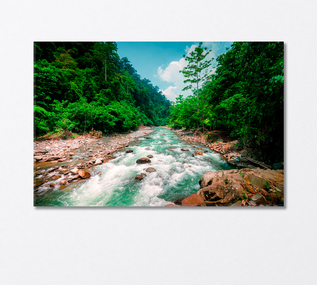 Magical Scenery of Rainforest and River with Rocks Canvas Print-Canvas Print-CetArt-1 Panel-24x16 inches-CetArt