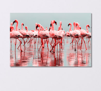 Group of African Red Flamingos Canvas Print-Canvas Print-CetArt-1 Panel-24x16 inches-CetArt