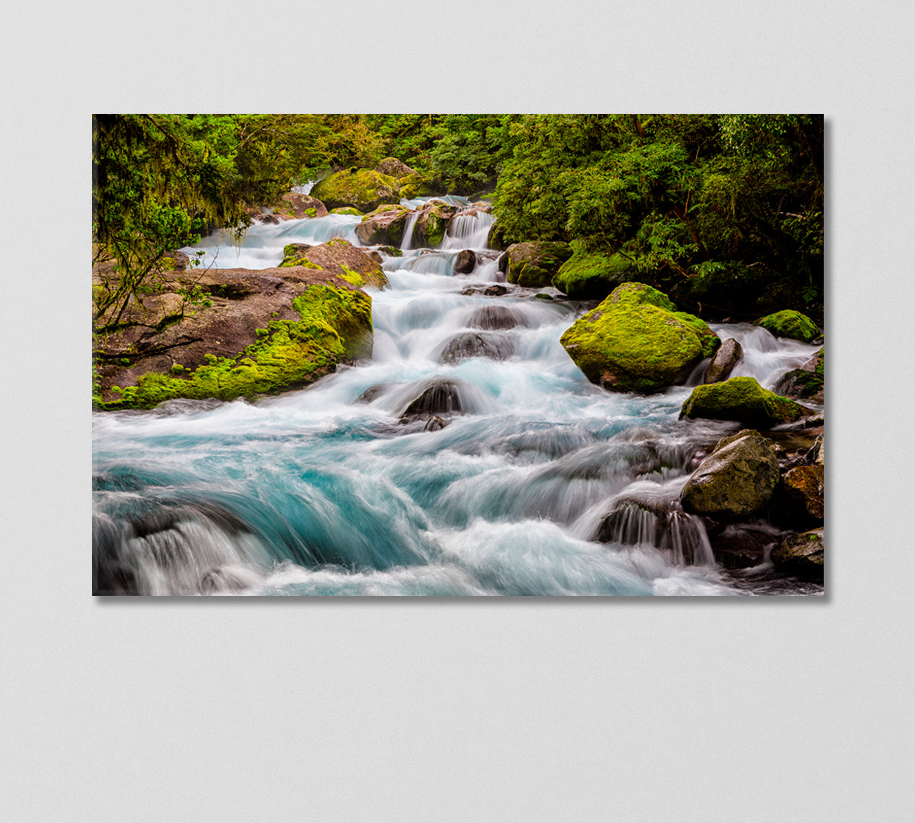 Stream in Fiordland National Park New Zealand Canvas Print-Canvas Print-CetArt-1 Panel-24x16 inches-CetArt