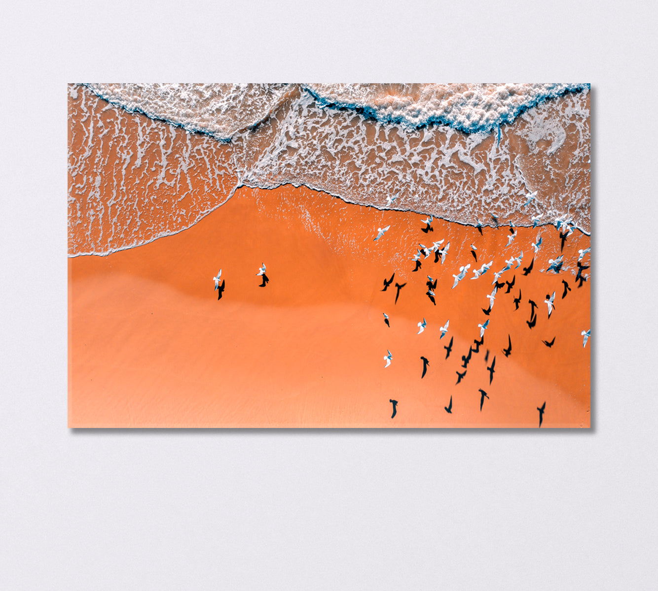 Seascape Seagulls on a Sandy Beach Canvas Print-Canvas Print-CetArt-1 Panel-24x16 inches-CetArt