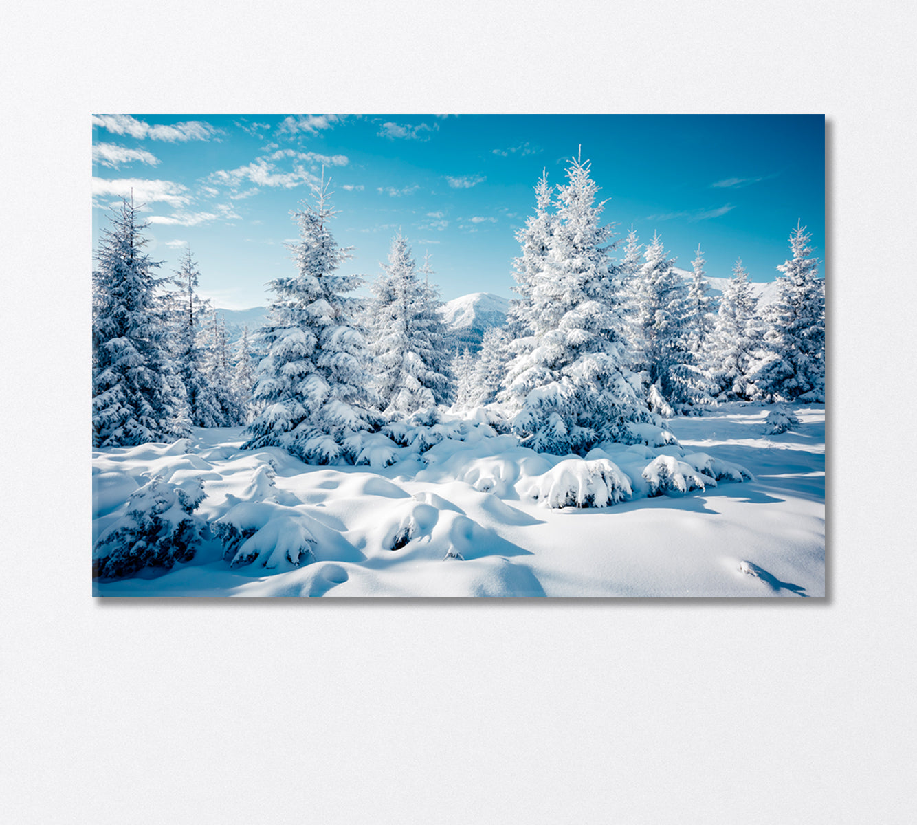 Snowy Spruce Forest in the Mountains Canvas Print-Canvas Print-CetArt-1 Panel-24x16 inches-CetArt