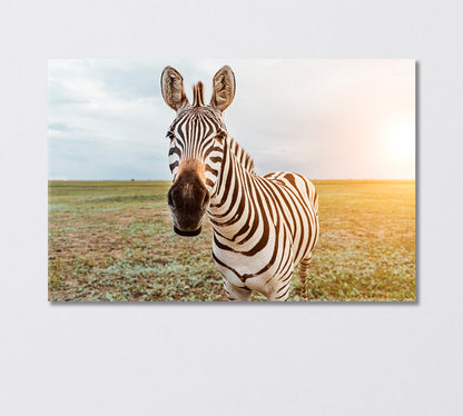 Charming Zebra Face Canvas Print-Canvas Print-CetArt-1 Panel-24x16 inches-CetArt