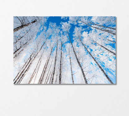 Snow Covered Birch Trees and Clear Blue Sky Canvas Print-Canvas Print-CetArt-1 Panel-24x16 inches-CetArt