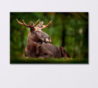 American Moose in Natural Habitat Canvas Print-Canvas Print-CetArt-1 Panel-24x16 inches-CetArt