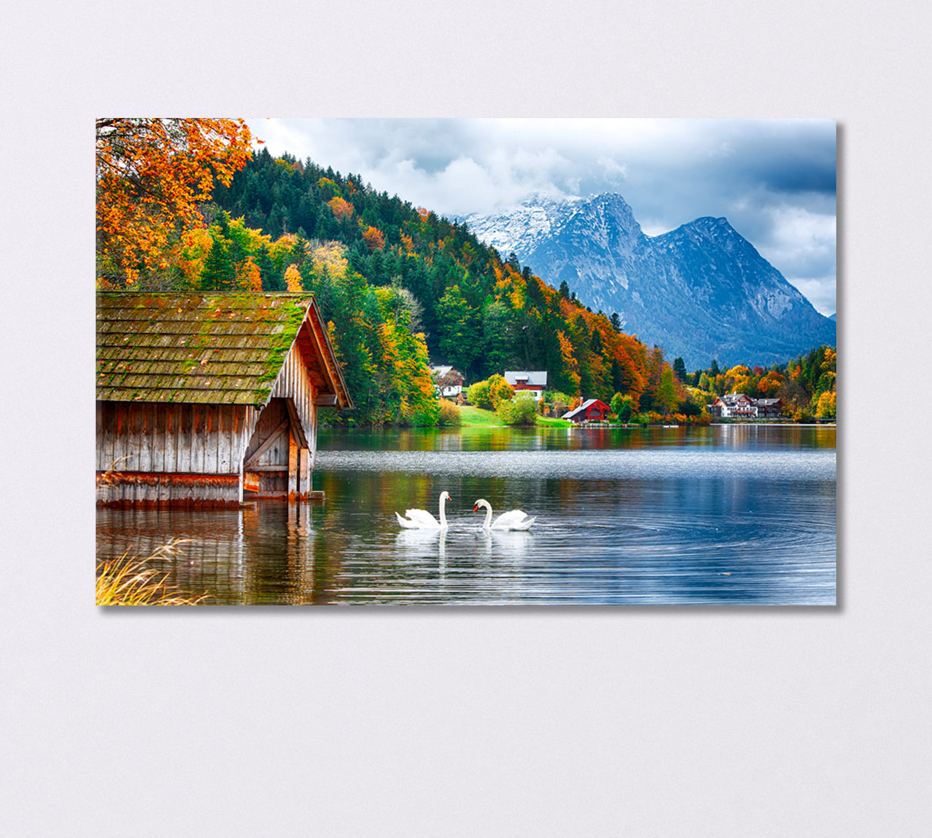 Two White Swans on Lake Grundlsee Switzerland Canvas Print-Canvas Print-CetArt-1 Panel-24x16 inches-CetArt