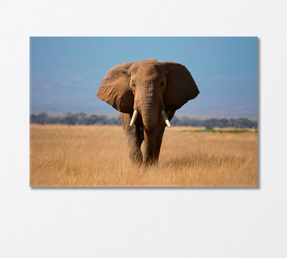 African Elephant in Amboseli Park Kenya Canvas Print-Canvas Print-CetArt-1 Panel-24x16 inches-CetArt