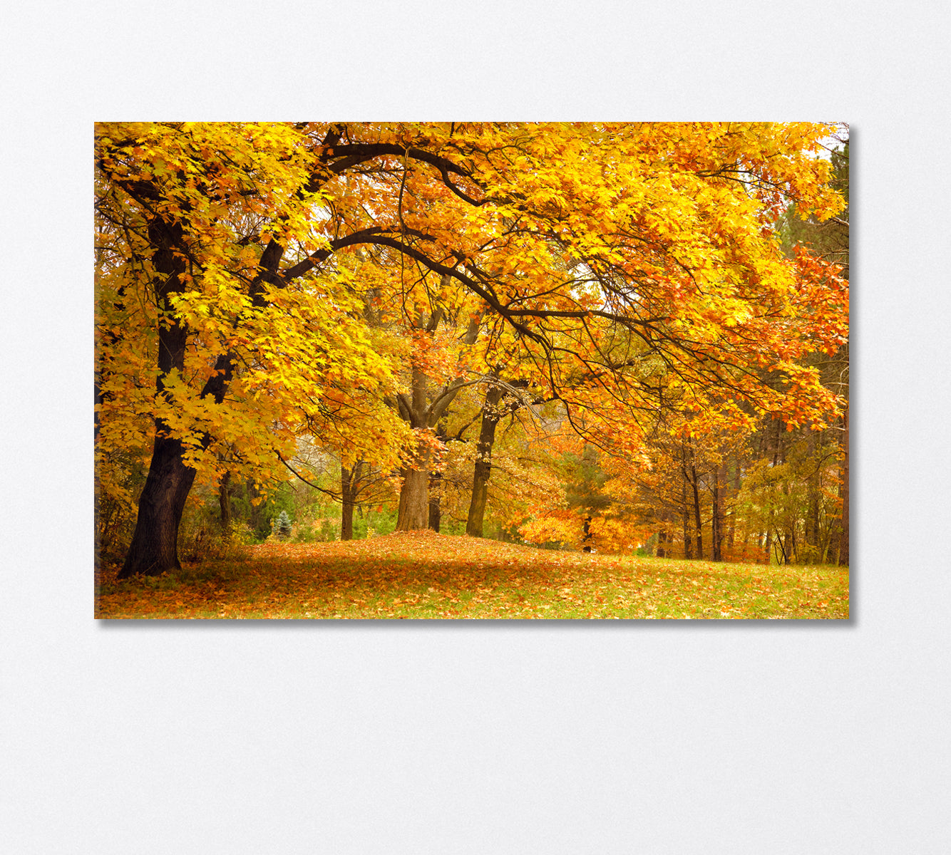 Autumn Landscape Canvas Print-Canvas Print-CetArt-1 Panel-24x16 inches-CetArt