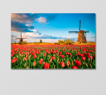 Tulip Field and Two Windmills Holland Canvas Print-Canvas Print-CetArt-1 Panel-24x16 inches-CetArt