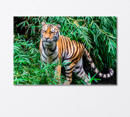 Wild Bengal Tiger on the Hunt Canvas Print-Canvas Print-CetArt-1 Panel-24x16 inches-CetArt