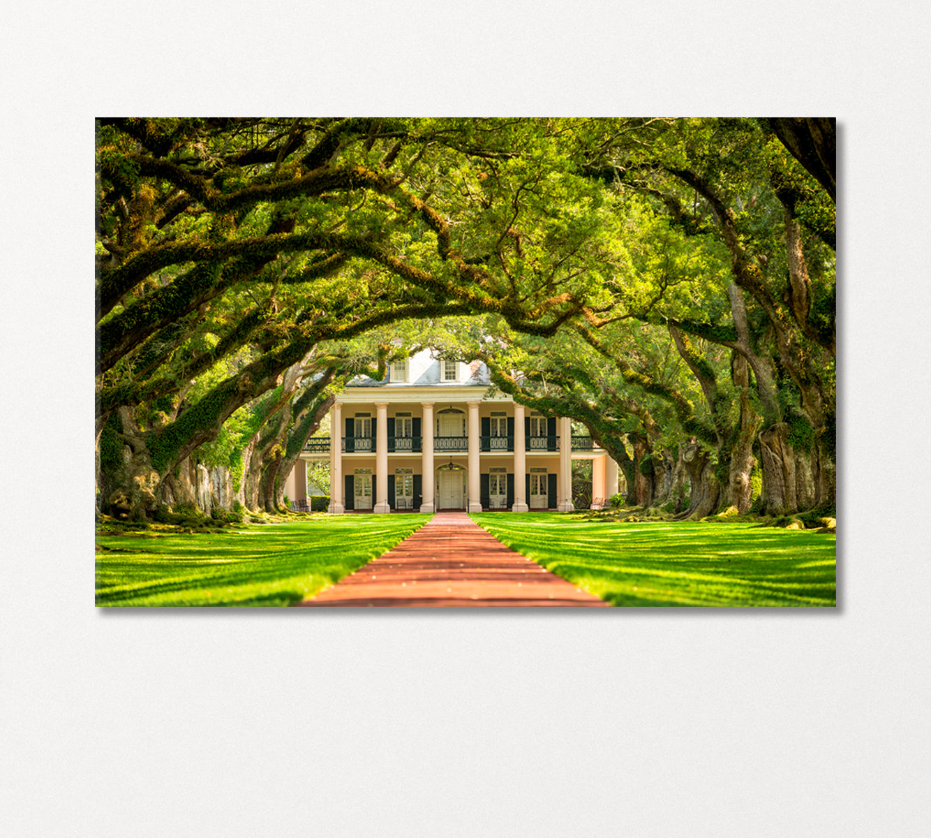 Oak Alley Plantation Louisiana Canvas Print-Canvas Print-CetArt-1 Panel-24x16 inches-CetArt