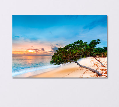 Exotic Seascape with Sea Grape Trees Dominican Republic Canvas Print-Canvas Print-CetArt-1 Panel-24x16 inches-CetArt