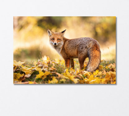 Red Fox Stands on Orange Foliage in the Forest Canvas Print-Canvas Print-CetArt-1 Panel-24x16 inches-CetArt