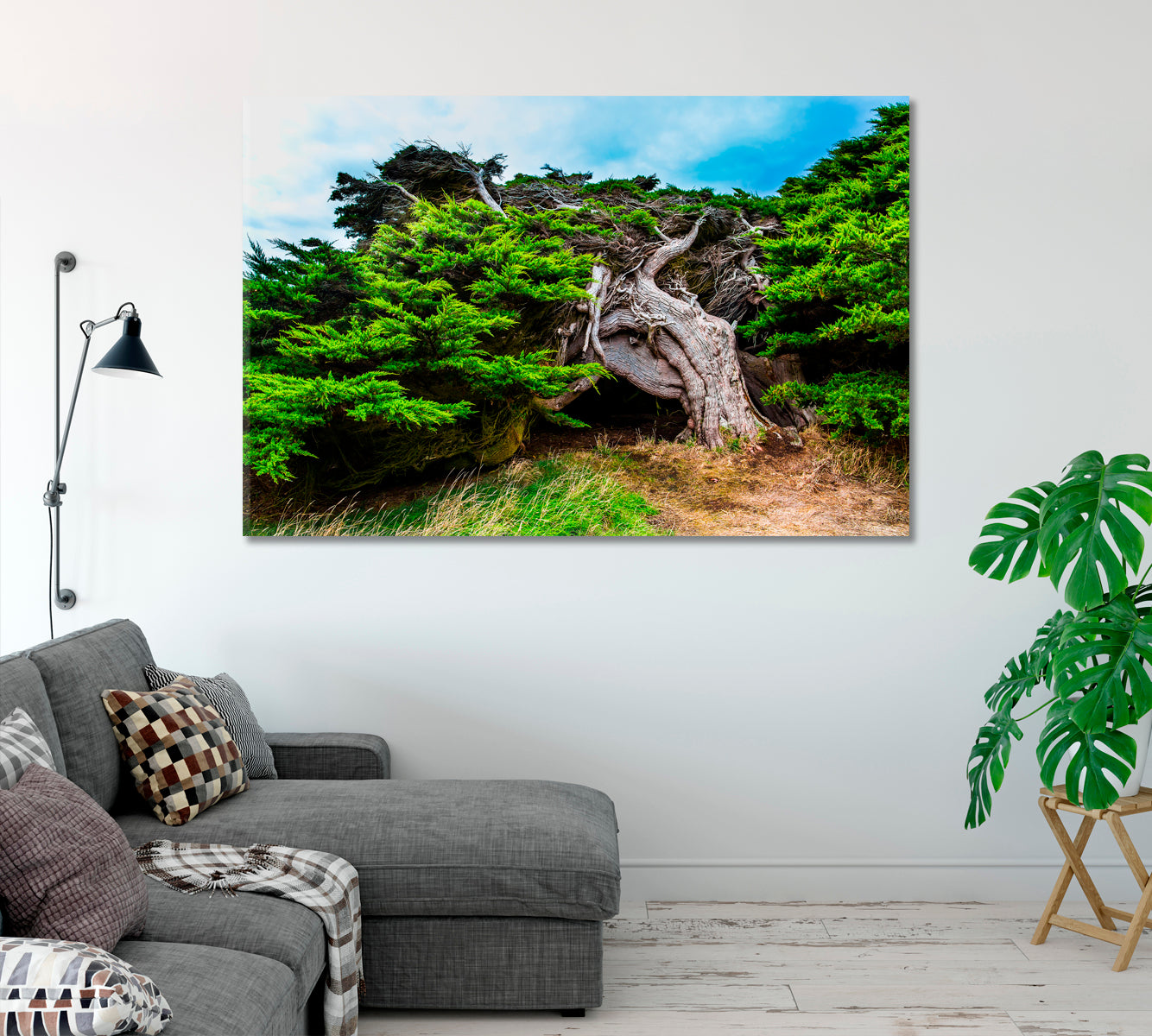 New Zealand Horizontal Forest Canvas Print-Canvas Print-CetArt-1 Panel-24x16 inches-CetArt