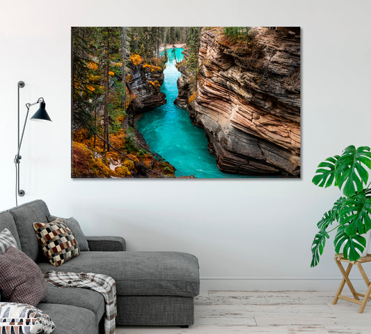 Athabasca Falls Jasper National Park Canada Canvas Print-Canvas Print-CetArt-1 Panel-24x16 inches-CetArt