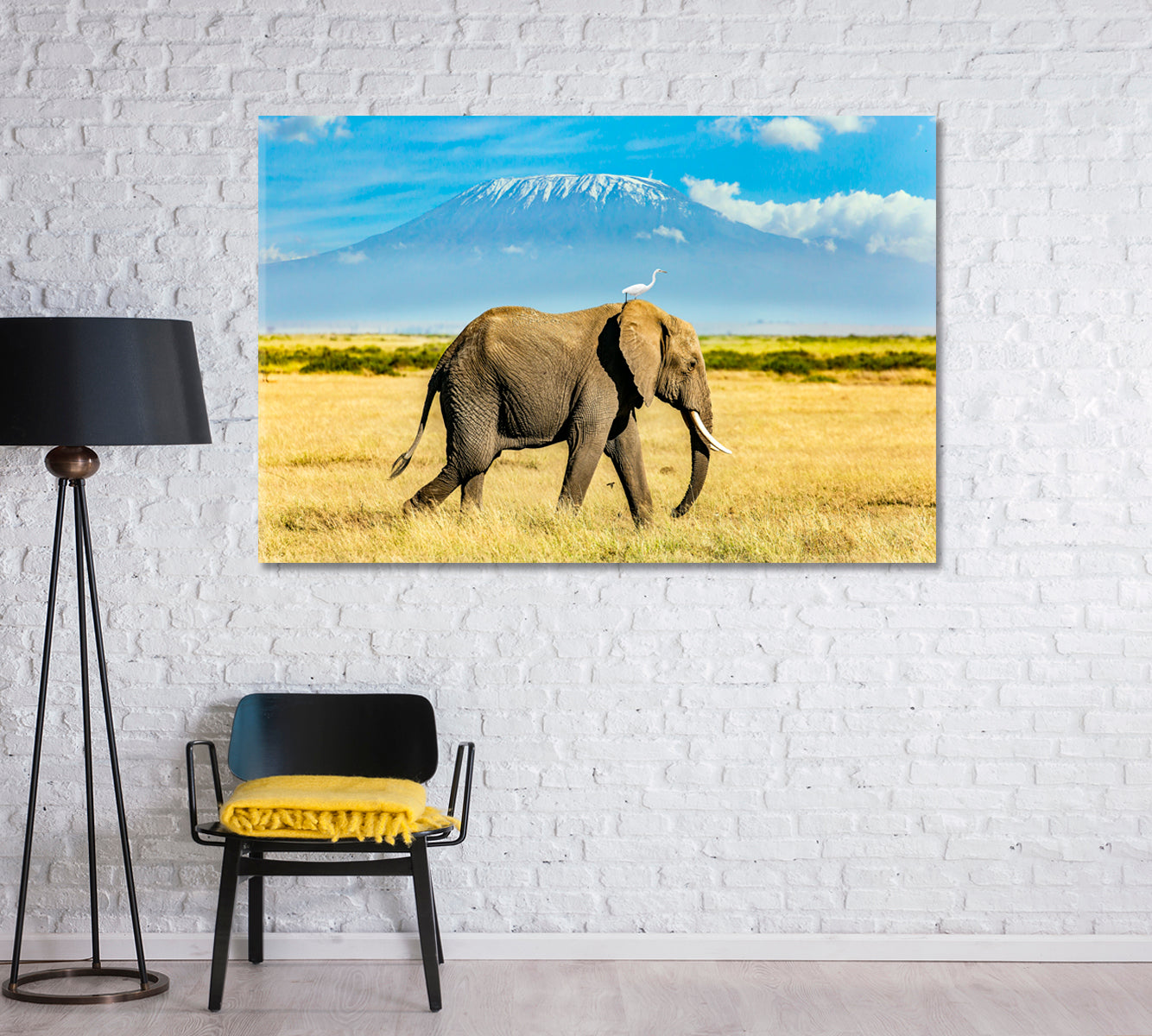 Heron on Elephant Head Against Mount Kilimanjaro Canvas Print-Canvas Print-CetArt-1 Panel-24x16 inches-CetArt