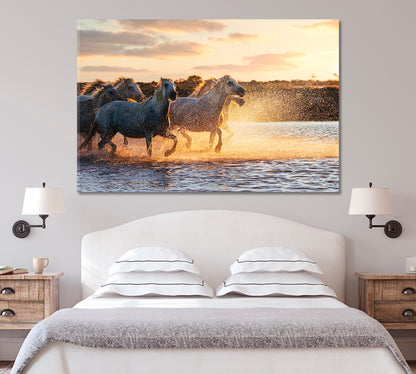 Wild White Horses of Camargue Running on Water Canvas Print-Canvas Print-CetArt-1 Panel-24x16 inches-CetArt