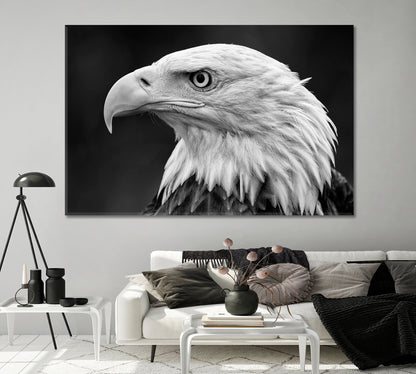 Bald Eagle Portrait in Black and White Canvas Print-Canvas Print-CetArt-1 Panel-24x16 inches-CetArt