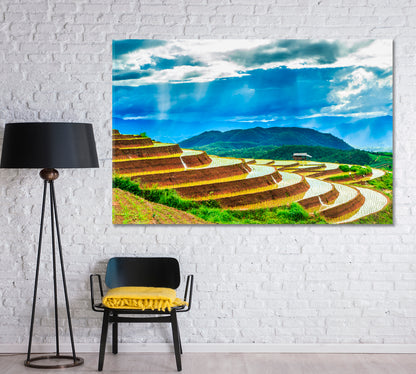 Rice Fields in Thailand Canvas Print-Canvas Print-CetArt-1 Panel-24x16 inches-CetArt