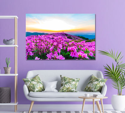 Pink Azalea Blossoms on Hwangmaesan Mountain Korea Canvas Print-Canvas Print-CetArt-1 Panel-24x16 inches-CetArt