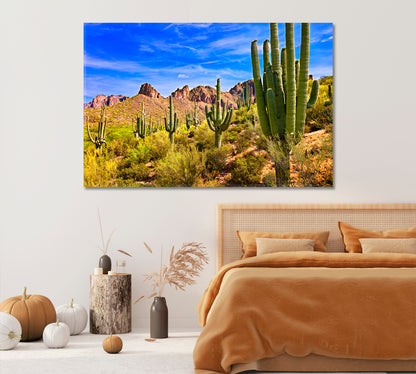 Saguaro Cactus in Sonoran Desert Arizona Canvas Print-Canvas Print-CetArt-1 Panel-24x16 inches-CetArt