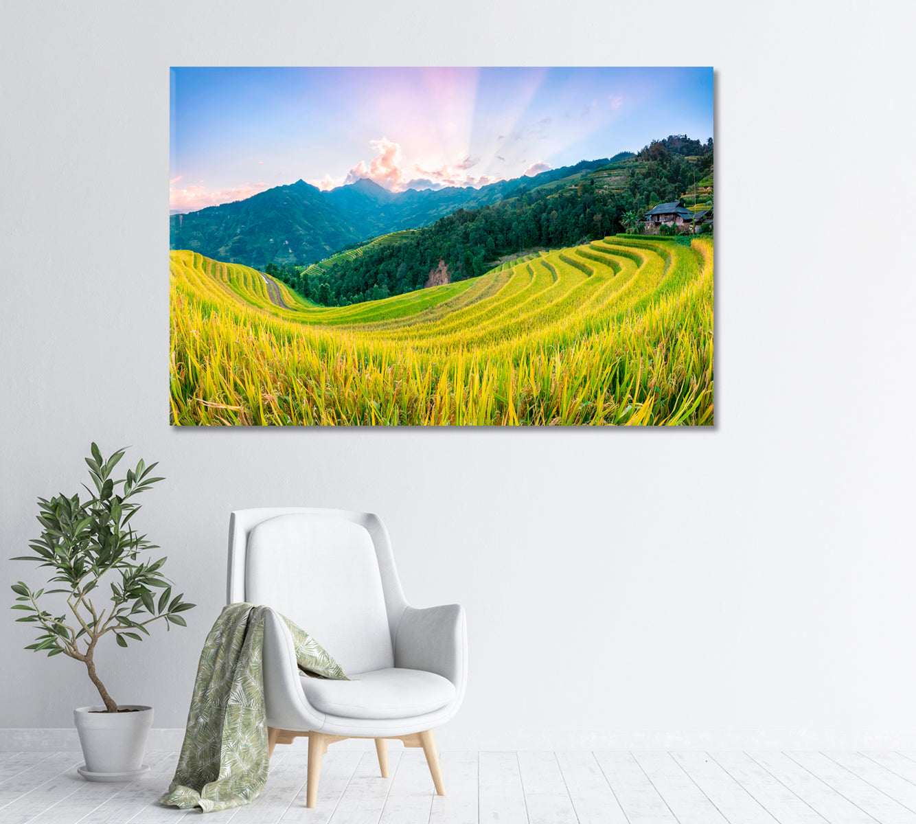 Rice Fields Hoang Su Phi Country North Vietnam Canvas Print-Canvas Print-CetArt-1 Panel-24x16 inches-CetArt