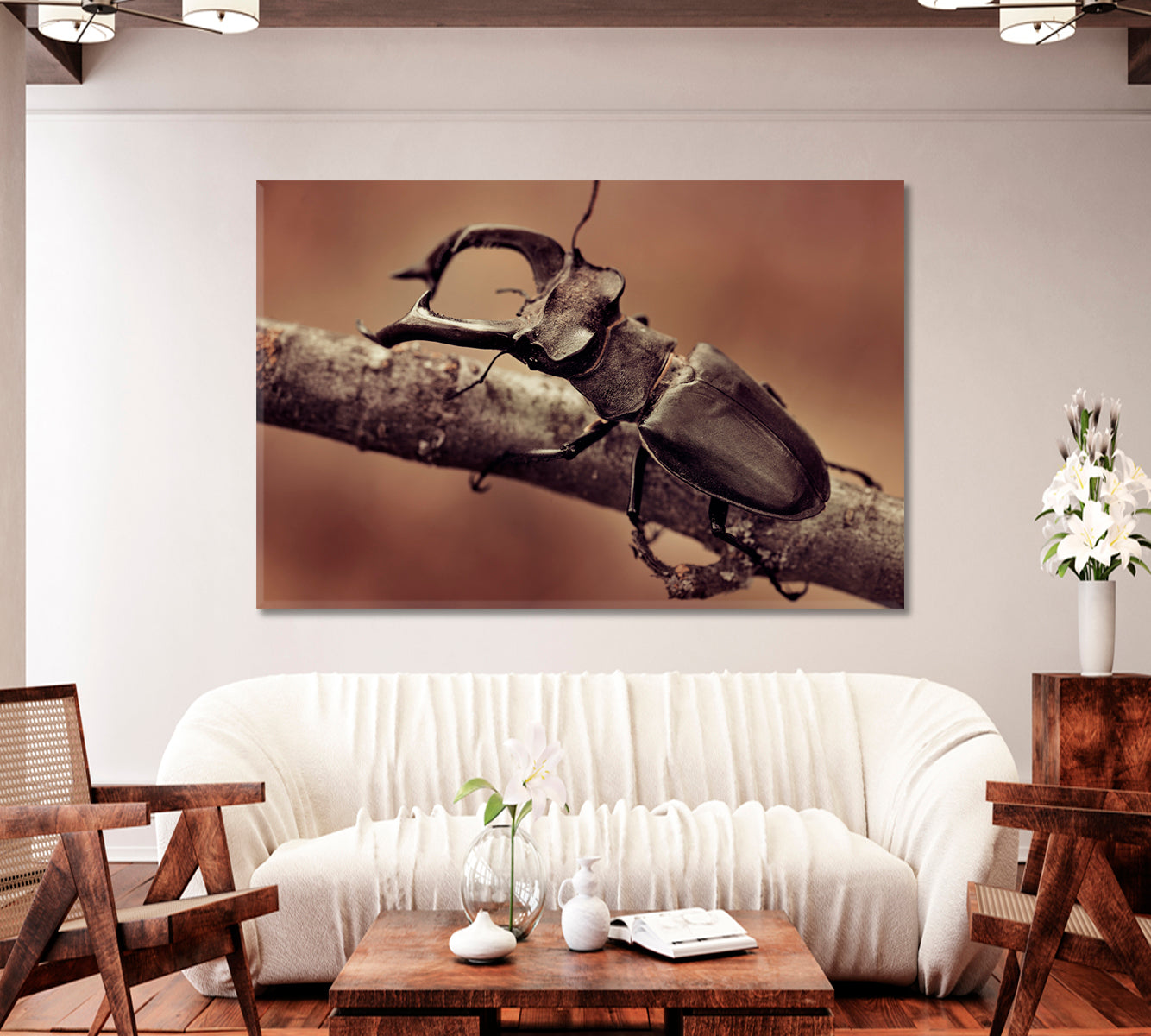 Deer Beetle Close Up Canvas Print-Canvas Print-CetArt-1 Panel-24x16 inches-CetArt