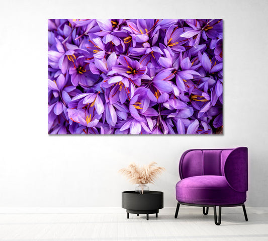 Blooming Saffron Flowers Canvas Print-Canvas Print-CetArt-1 Panel-24x16 inches-CetArt