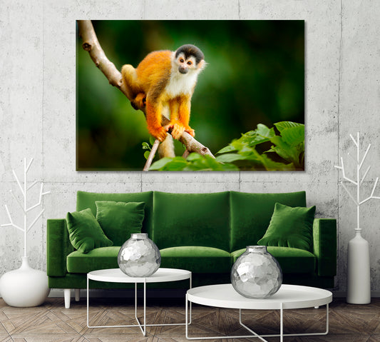 Little Monkey Sitting on a Tree Canvas Print-Canvas Print-CetArt-1 Panel-24x16 inches-CetArt