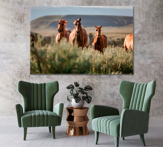 Beautiful American Horses Herd Wyoming Canvas Print-Canvas Print-CetArt-1 Panel-24x16 inches-CetArt