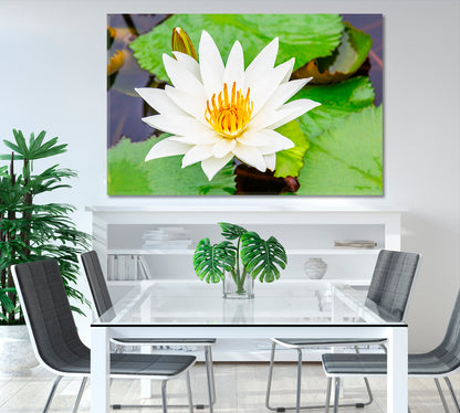 White Lotus Flower Canvas Print-Canvas Print-CetArt-1 Panel-24x16 inches-CetArt