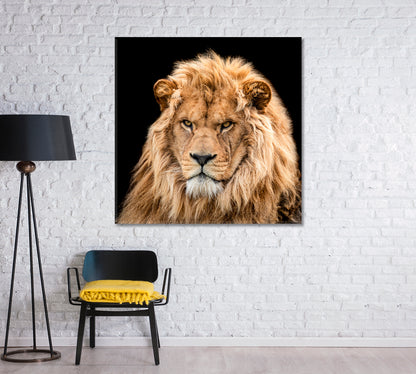 Portrait of Lion Canvas Print-Canvas Print-CetArt-1 panel-12x12 inches-CetArt