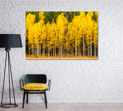 Yellow Aspen Tree in Mountains of Colorado Canvas Print-Canvas Print-CetArt-1 Panel-24x16 inches-CetArt