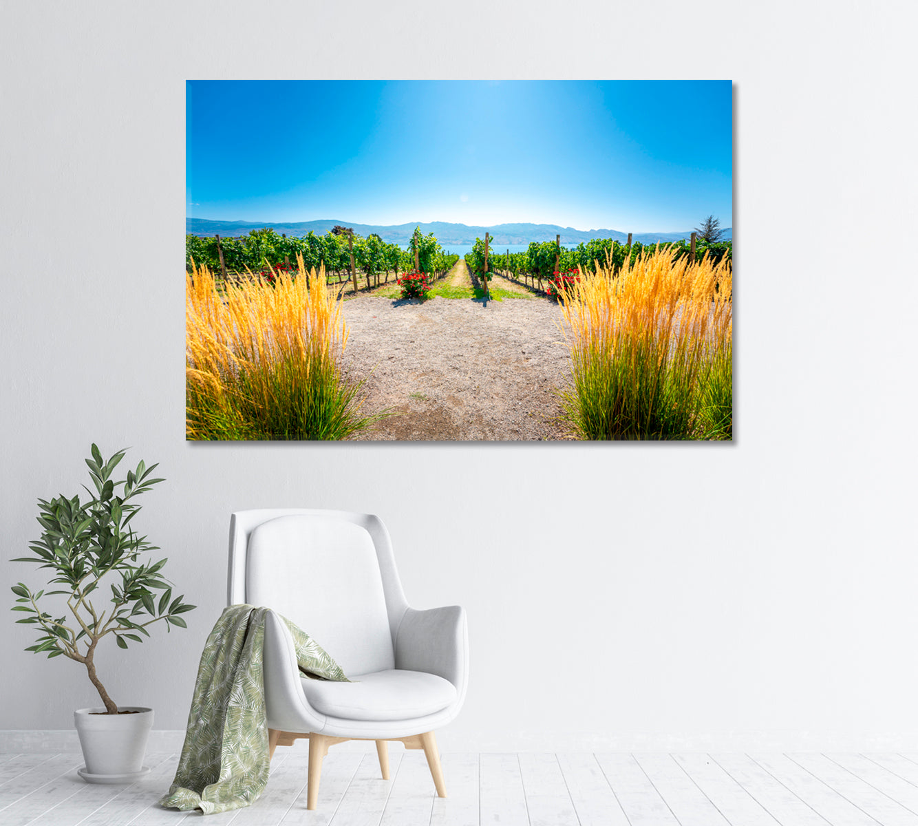 Vineyards Landscape Western Canada British Columbia Canvas Print-Canvas Print-CetArt-1 Panel-24x16 inches-CetArt