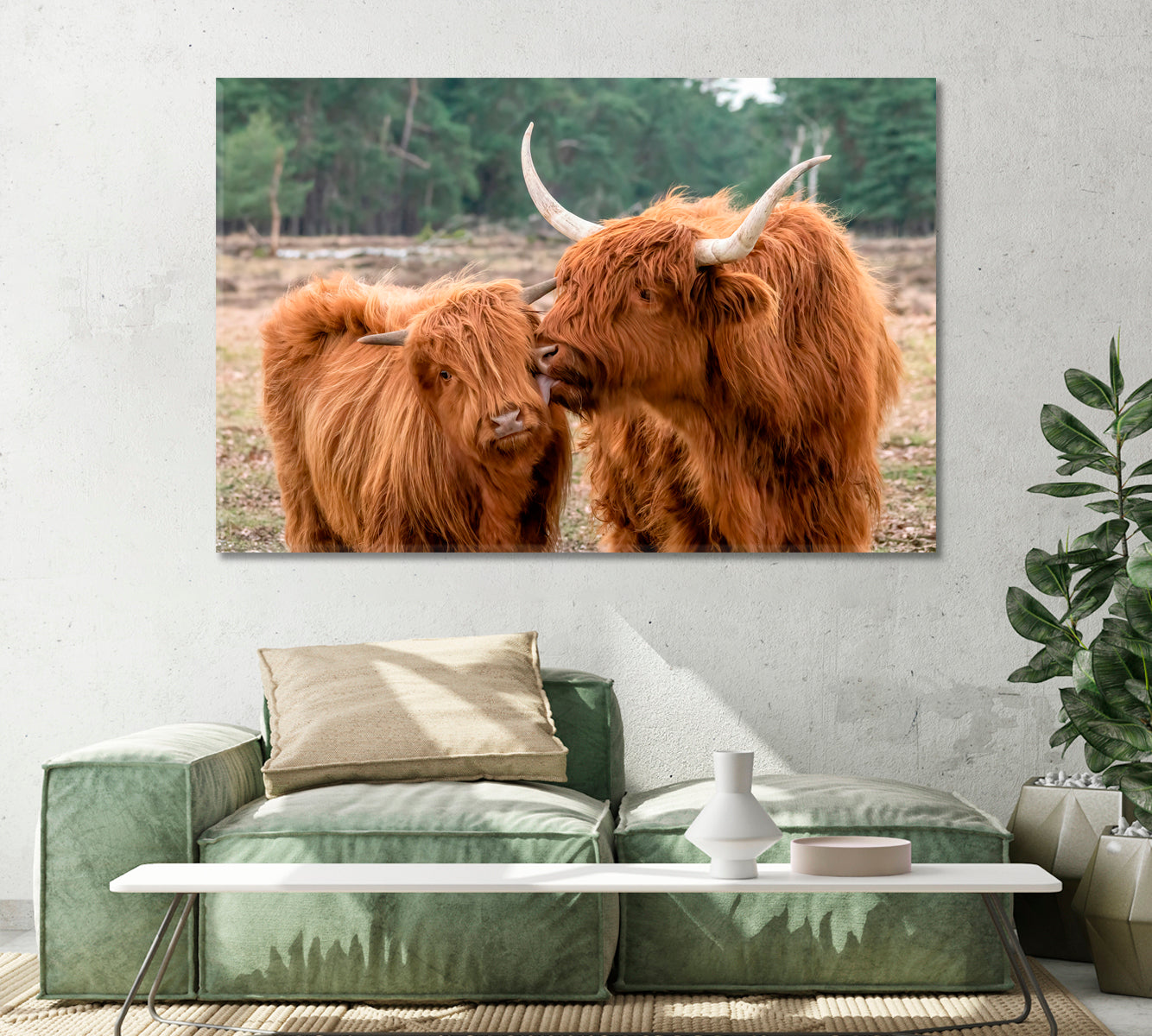 Beautiful Highland Cow Cattle with Calf Canvas Print-Canvas Print-CetArt-1 Panel-24x16 inches-CetArt