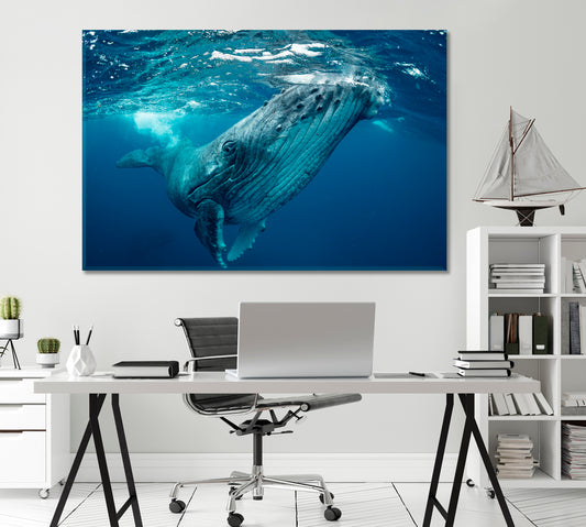 Whale Swimming in the Pacific Ocean Canvas Print-Canvas Print-CetArt-1 Panel-24x16 inches-CetArt