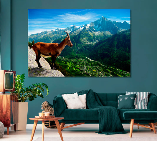 Mountain Goat Looks at Landscape Canvas Print-Canvas Print-CetArt-1 Panel-24x16 inches-CetArt